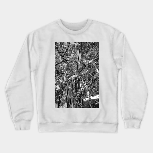 IM's Last Stand Study 1 Crewneck Sweatshirt by bobmeyers